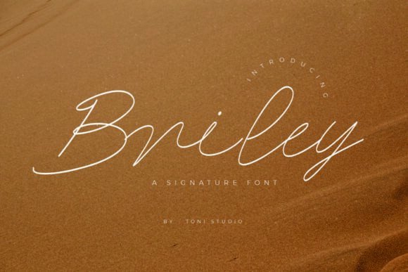 Briley: A Script Typeface for Elegant Design