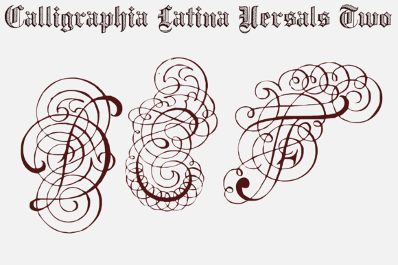 Calligraphia Latina Versals Two: Elegant Display Font