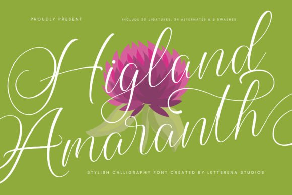 Higland Amaranth: A Luxurious Script Font