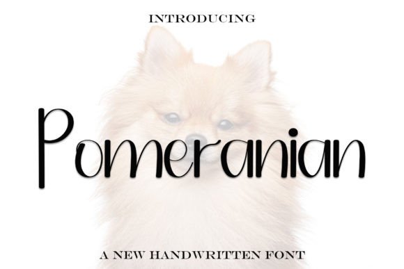Pomeranian: A Trendy Handwritten Font