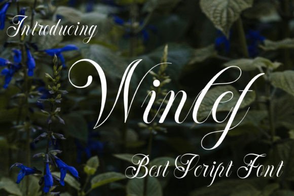 Winlef: A Handwritten Font for Creative Marketing
